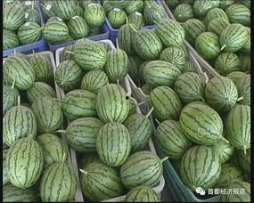 梨花吃瓜,揭秘娱乐圈的甜蜜瓜田