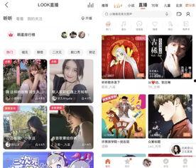头条网如何打赏,轻松掌握打赏技巧，助力优质内容创作者