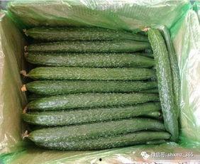 带你吃瓜吃激素,揭秘网络热词背后的真相