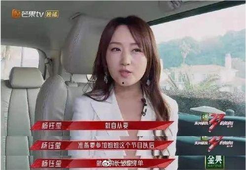 璐姐大人物爆料视频,大人物背后的惊人真相