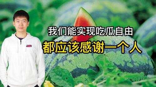 在全世界吃瓜起点,揭秘全球各地独特的“瓜文化”现象