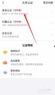 新闻头条个人身份认证,个人身份认证技术革新，守护信息安全新篇章