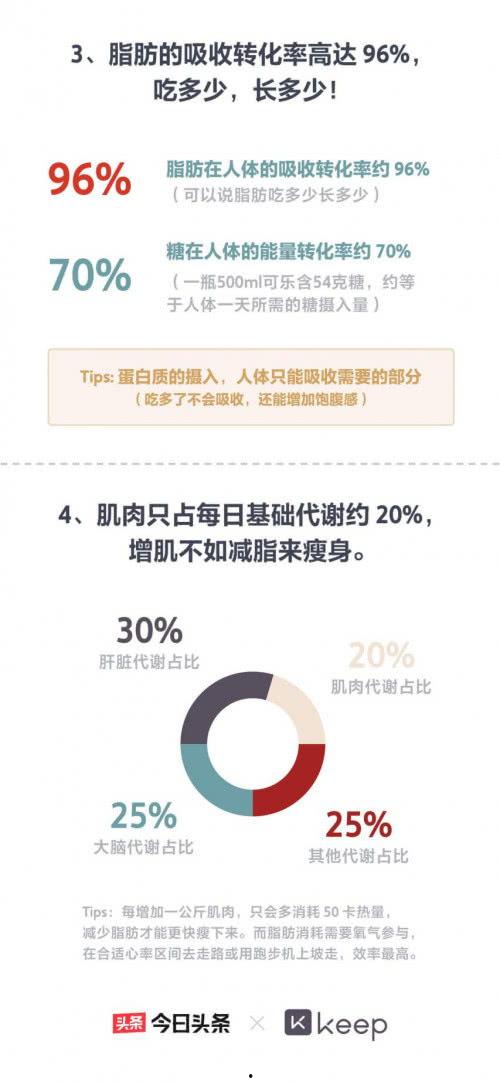 头条运动数据解释,运动趋势与人群健康生活新风向”