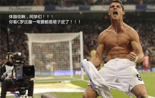 以色列色情明星,揭秘色情明星的璀璨人生