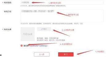头条认证了才可以赚钱吗,开启赚钱之路的必备条件