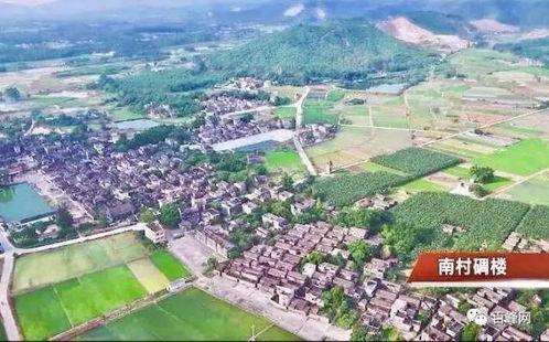 潼关县九九镇新闻头条,聚焦乡村振兴，共绘美好家园新画卷