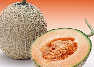 鼻塞吃哈密瓜好吗