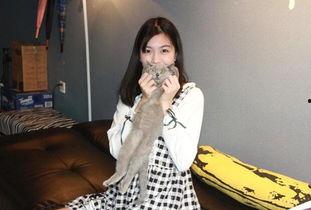 网红另一面,真实与虚幻的交织