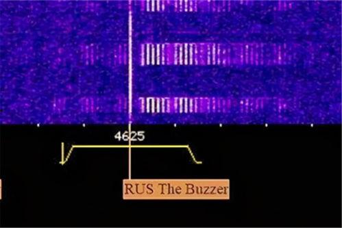 网红无线电台,声音的魅力，连接千千万万听众的心