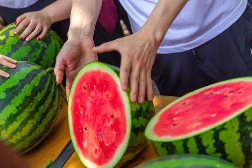 科技大学 吃瓜,揭秘校园“吃瓜”文化背后的故事