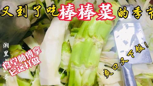 兰坪幼儿园老师吃瓜,校园生活趣闻一瞥