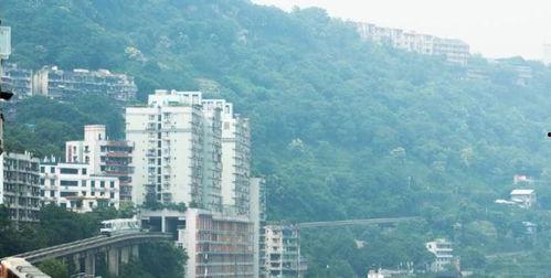 吉凤有什么网红景点,探寻这座城市的魅力打卡地