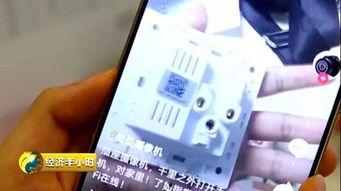 头条带货什么领域好做