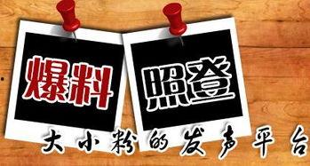 重庆爆料九龙坡新闻