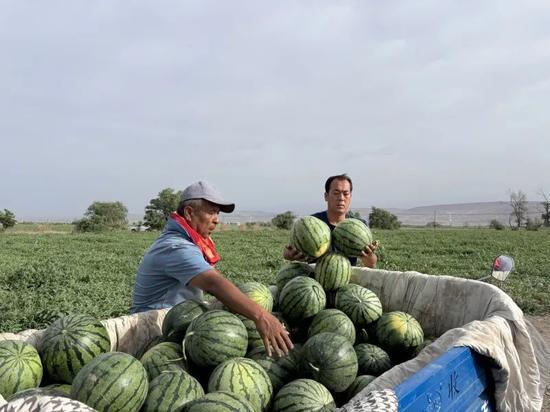马驹桥吃瓜,一场别开生面的夏日盛宴