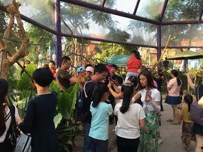 寻乌网红打卡地景点在哪,探寻这座小城的魅力角落