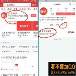 今日头条的打卡记录,今日头条打卡记录回顾”