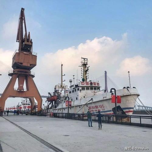 帝业网红胶带球怎么玩,趣味互动，挑战你的反应极限