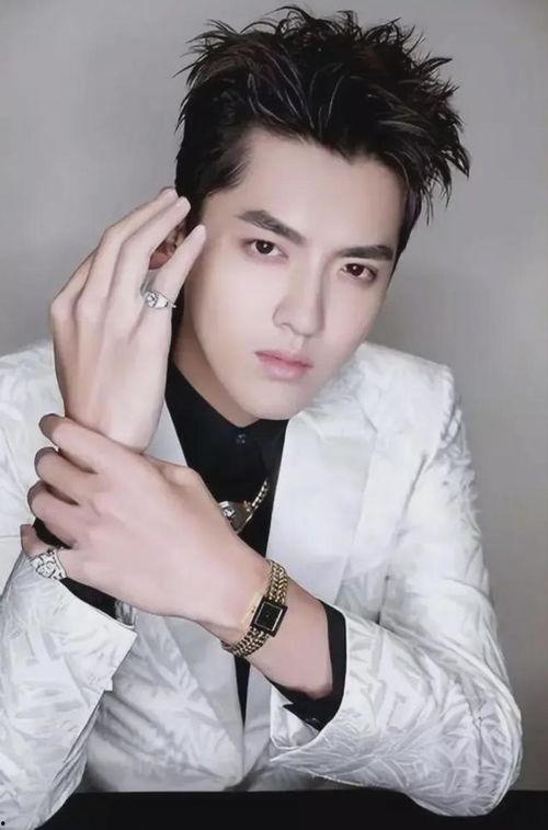 我喜欢的明星吴亦凡,闪耀星途，魅力无限